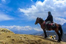 Windhorse Stable, Kathmandu, Nepal Top Family-Friendly Horse Riding Destinations And Resorts In Asia