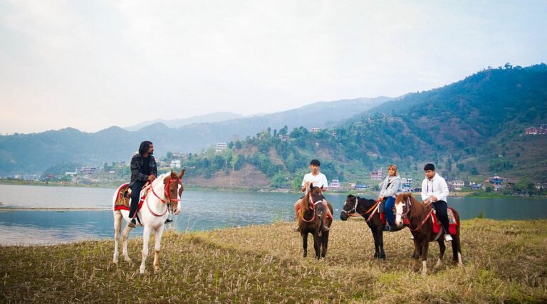 Pony Farm Pokhara, Pokhara, Nepal Top Family-Friendly Horse Riding Destinations And Resorts In Asia