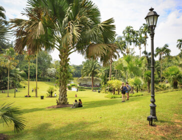 Family Guide to the Singapore Botanic Gardens: Best Activities For Kids 2026!