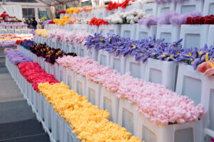 Henderson Land x CJ Hendry Flower Market Blooms in Hong Kong