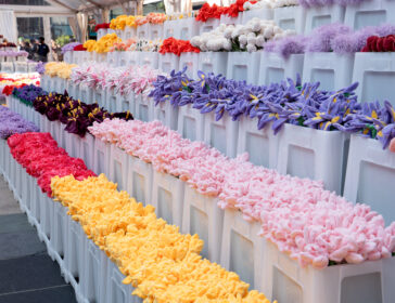 Henderson Land x CJ Hendry Flower Market Blooms in Hong Kong