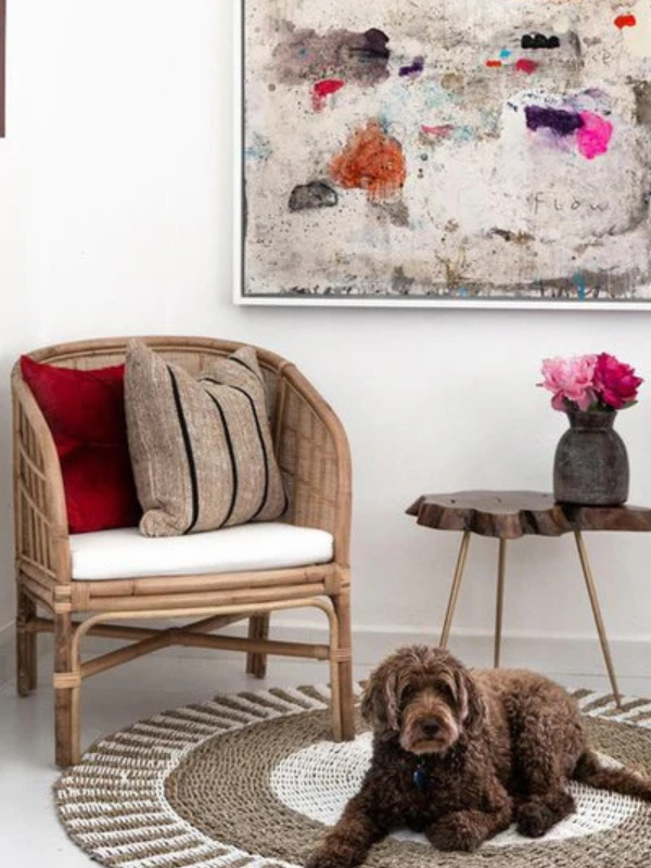 rattan chair sitting on a round brown and cream rug against a painting backdrop featuring with a brown poodle sitting on the rug