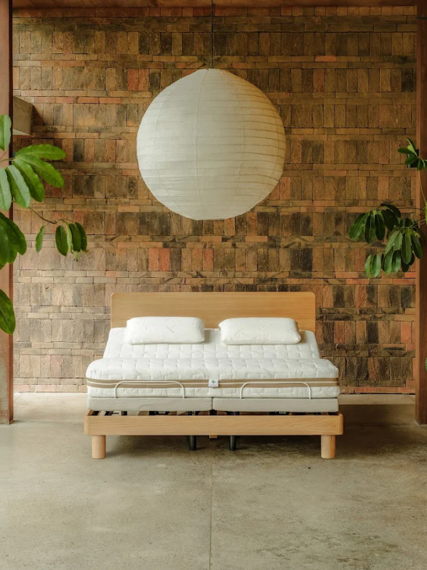 Heveya bed in Singapore Little Steps