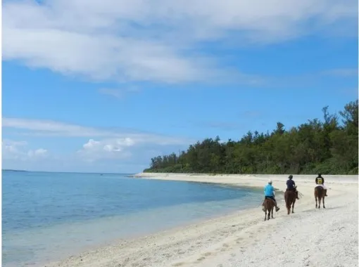 Iejima Beach Side Horse Park The Complete Guide To Horse Riding On Okinawa Little Steps Asia