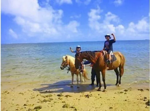 Frontier Horses The Complete Guide To Horse Riding On Okinawa Little Steps Asia