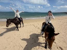 Horse Garden Churan The Complete Guide To Horse Riding On Okinawa Little Steps Asia