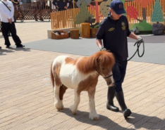 Best Family-Friendly Events In Hong Kong - March 2026