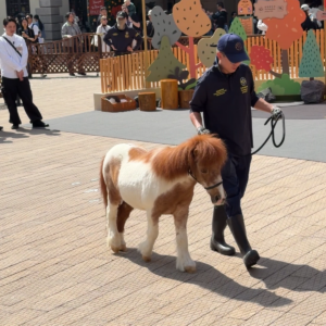 Best Family-Friendly Events In Hong Kong - March 2026