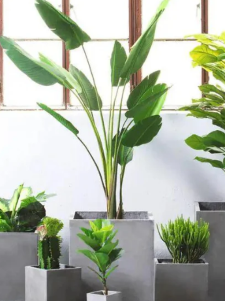 Garden Plus HK