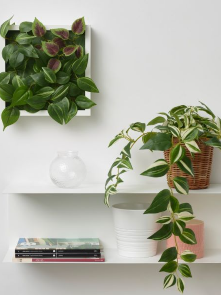 Ikea Plants HK