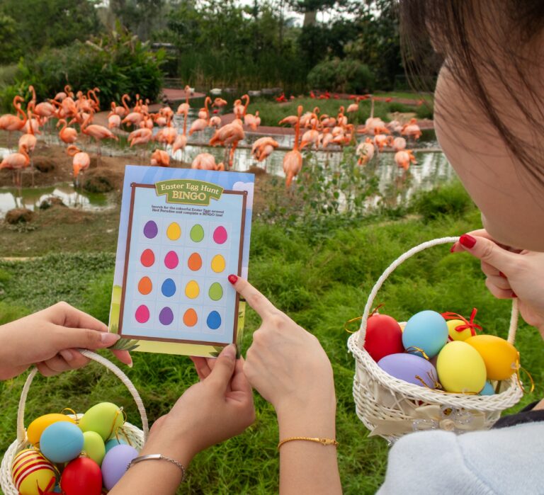 Mandai Wildlife Reserve Easter Egg Hunt 2026 Singapore