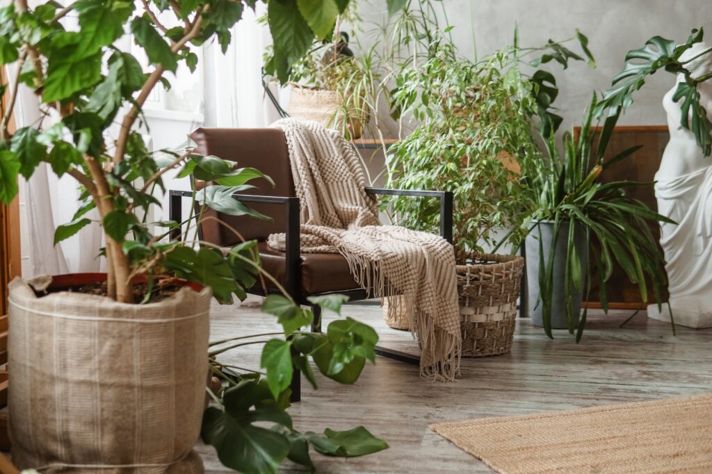 Where To Buy Plants In Hong Kong: Top Stores & Delivery Services