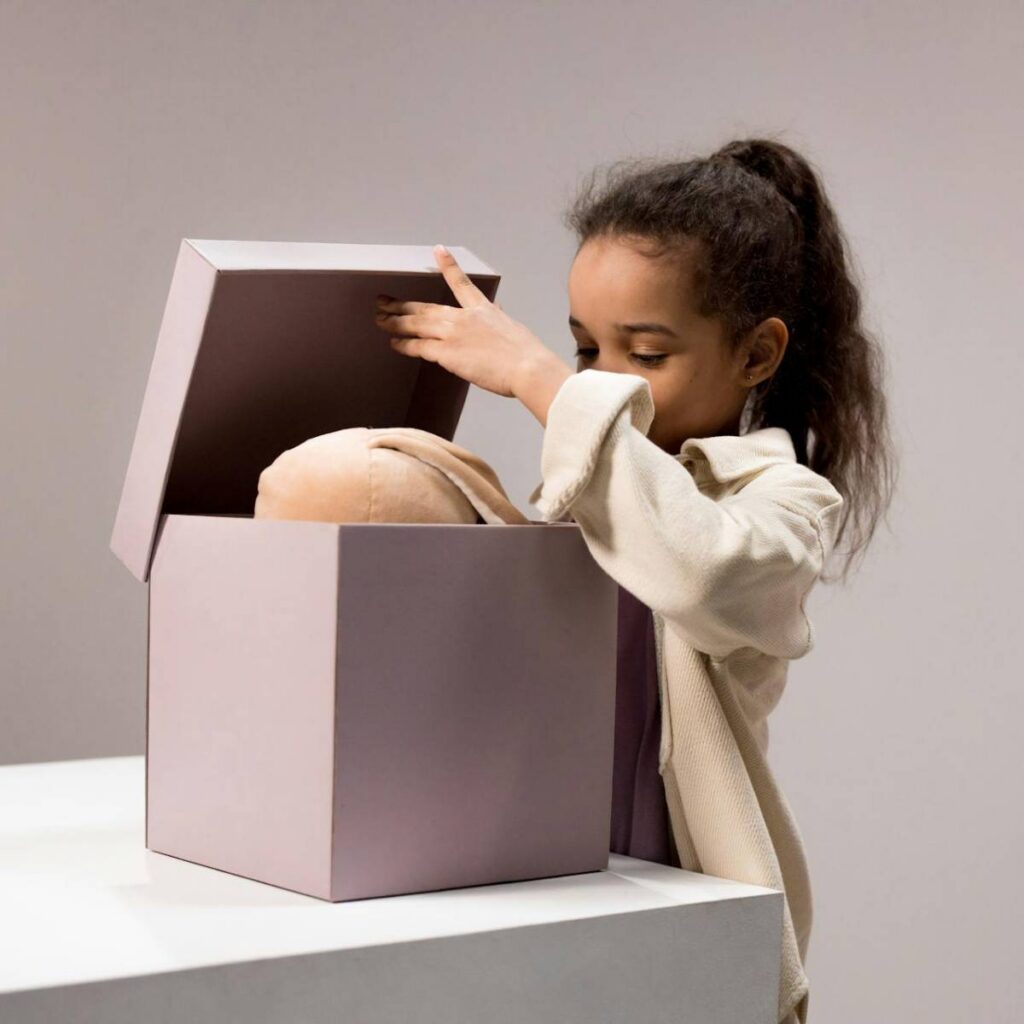 Blind box toys and collectibles in Singapore