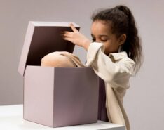 Blind box toys and collectibles in Singapore