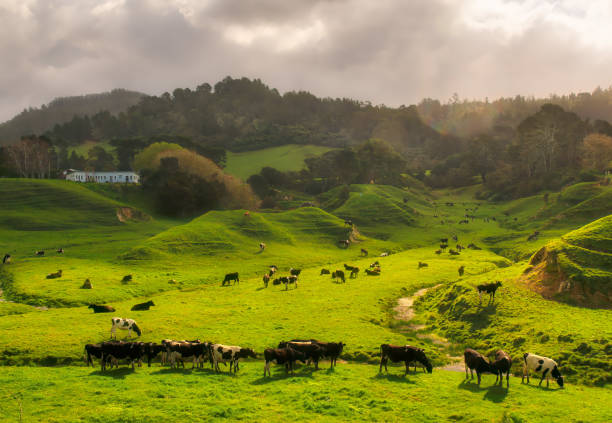 New Zealand The Safest Countries To Travel To In 2026