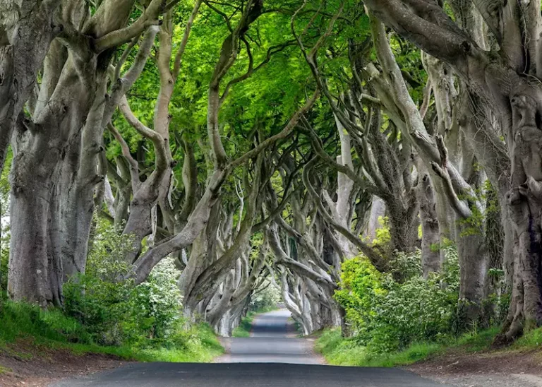 Ireland The Safest Countries To Travel To In 2026 Little Steps Asia