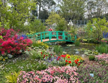 Best Family-Friendly Events In Hong Kong - March 2026