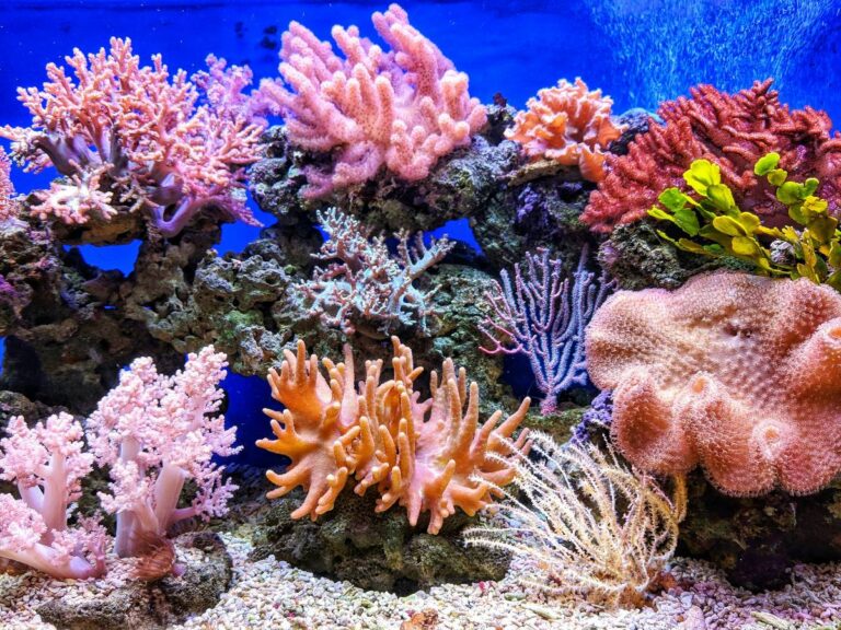 immersive ocean VR exhibition at Science Centre, Singapore