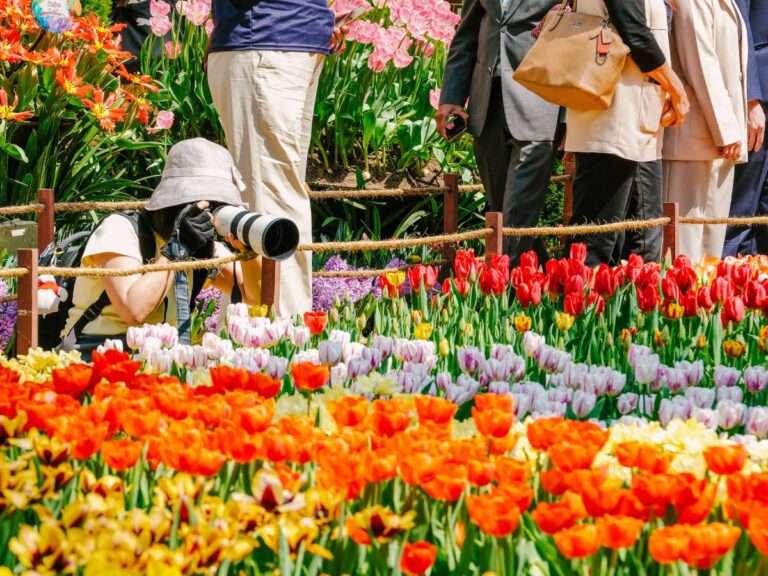 Colorful tulips and Dutch displays at Gardens by the Bay