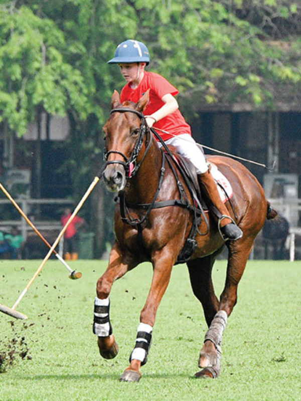 polo club in singapore little steps