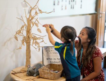 Tree Early Learning Village Singapore