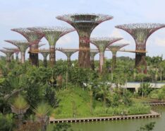 Image of Supertrees at Gardens by the Bay Singapore