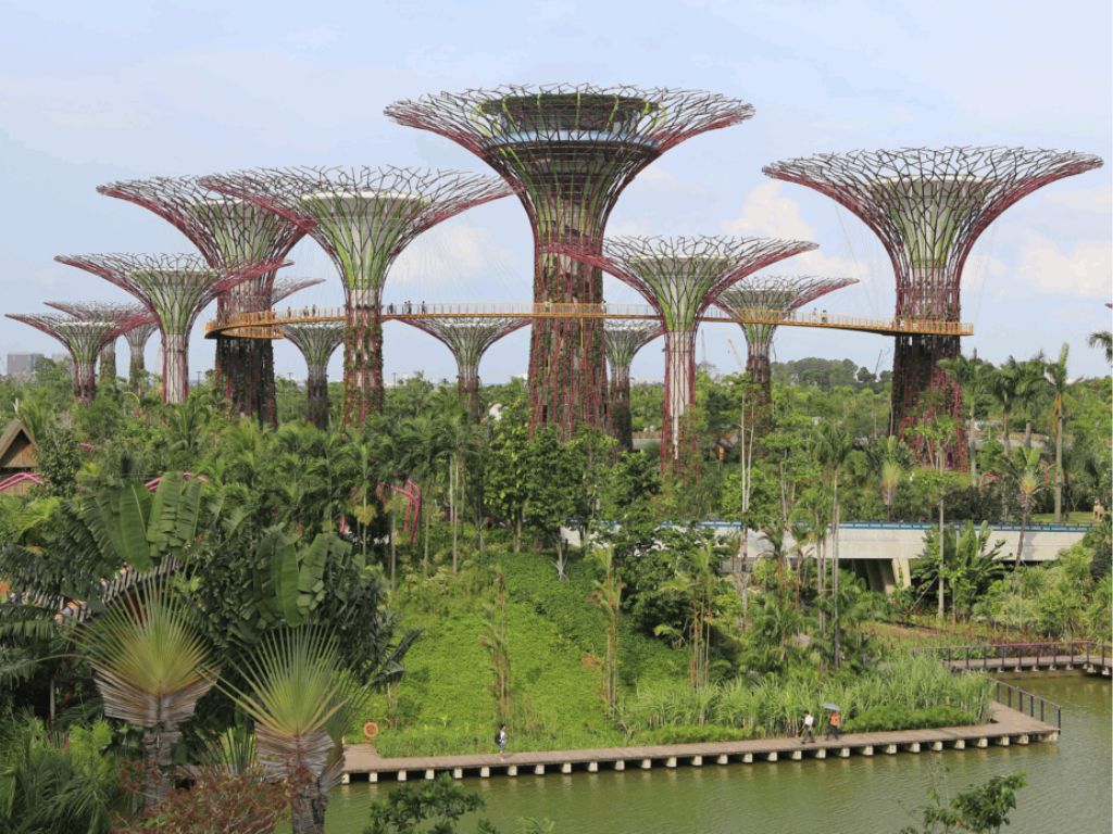 Image of Supertrees at Gardens by the Bay Singapore