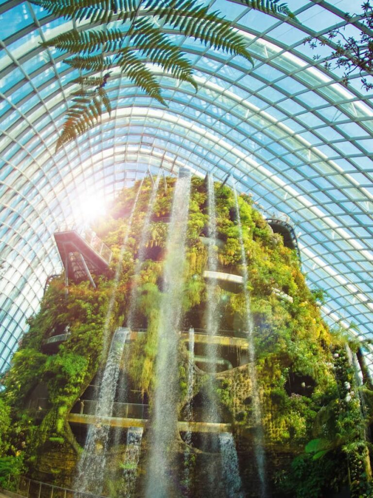 Image of Cloud Forest at Gardens by the Bay