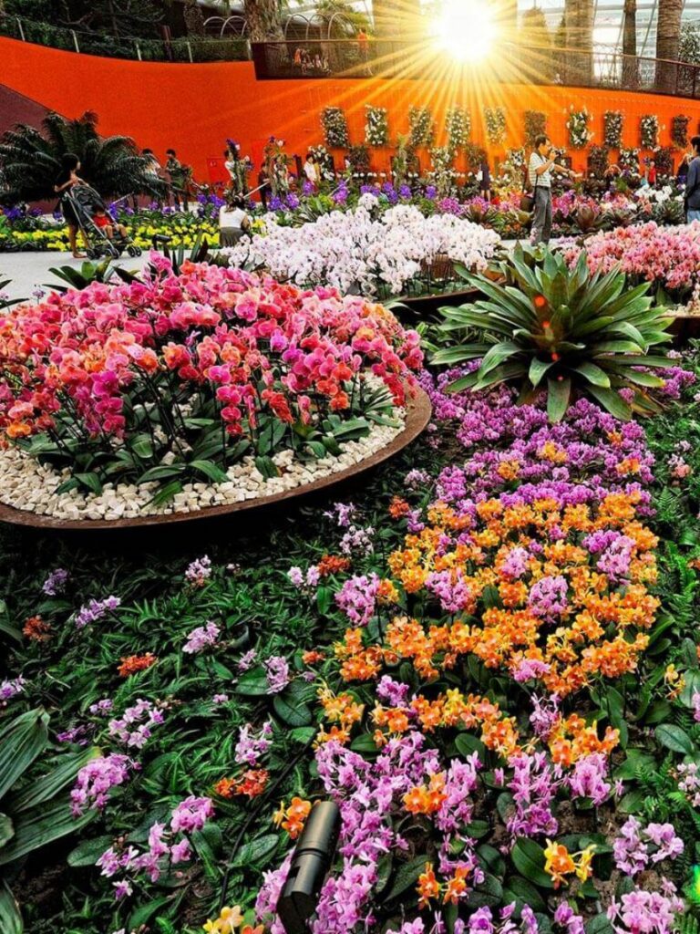 Image of Flower Dome at Gardens by the Bay Singapore