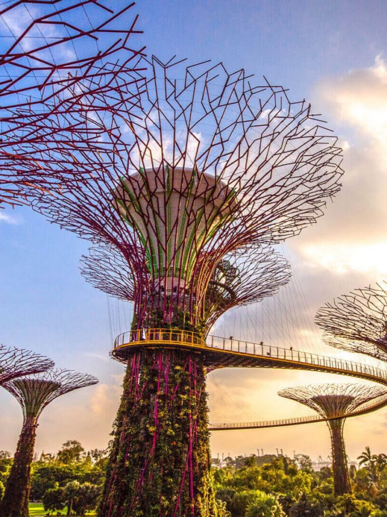 Image of Supertree Grove at Gardens by the Bay Singapore