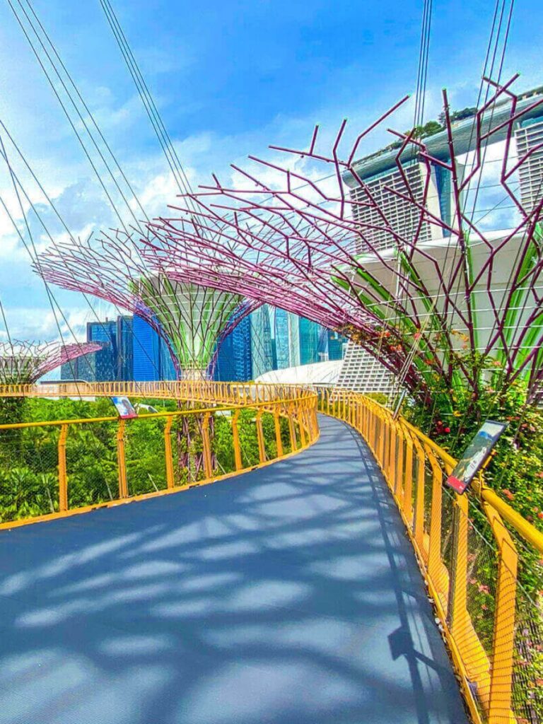 Image of OCBC Skyway at Gardens by the Bay Singapore