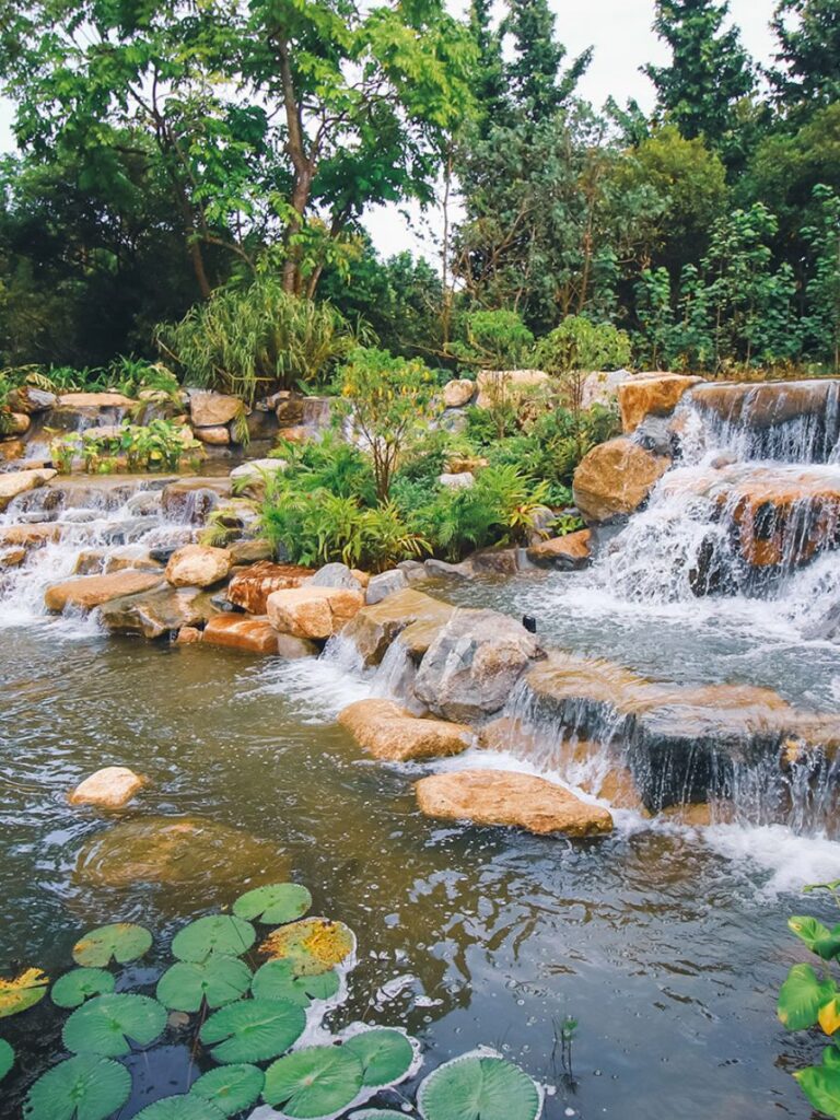 Image of Kingfisher Lake at Gardens by the Bay