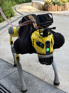 Image of robodogs in Singapore Sentosa