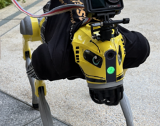 Image of robodogs in Singapore Sentosa