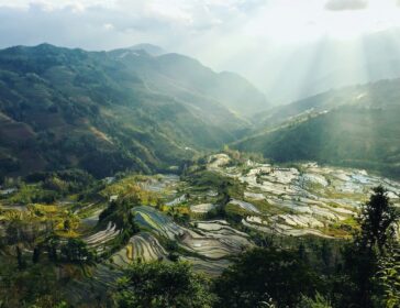 Rice Paddies Lightfoot Travel
