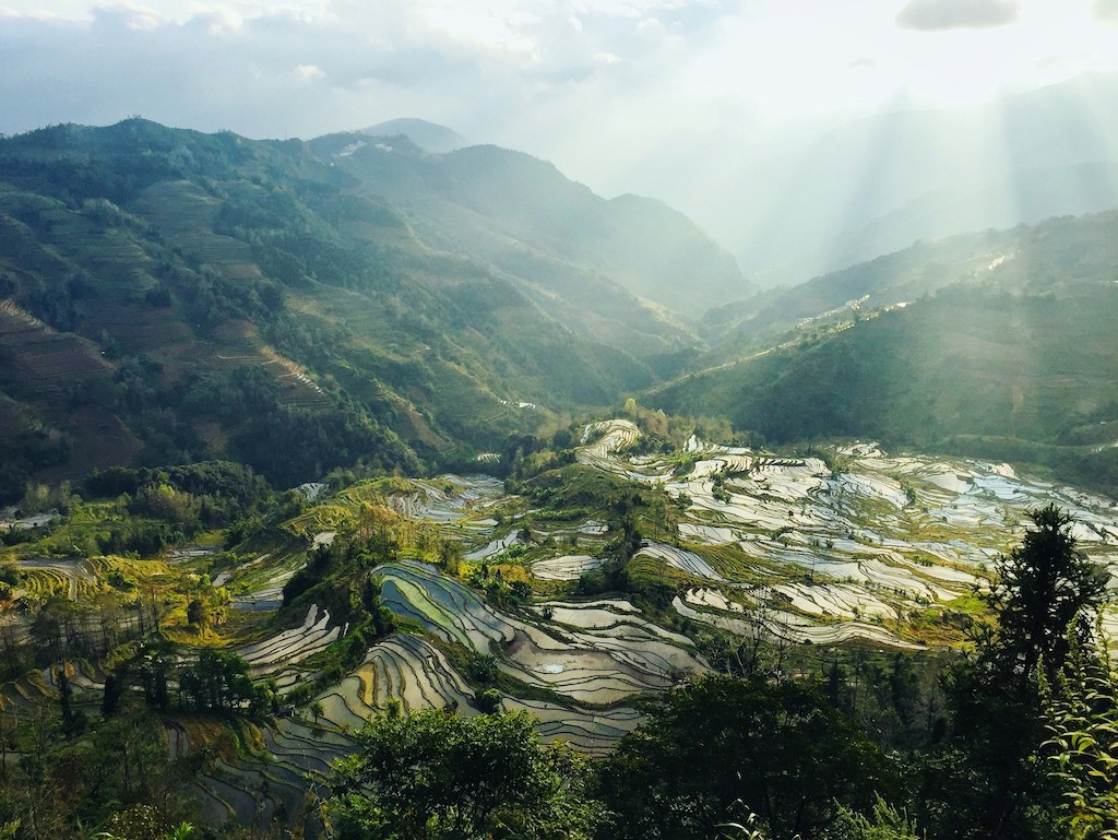 Rice Paddies Lightfoot Travel