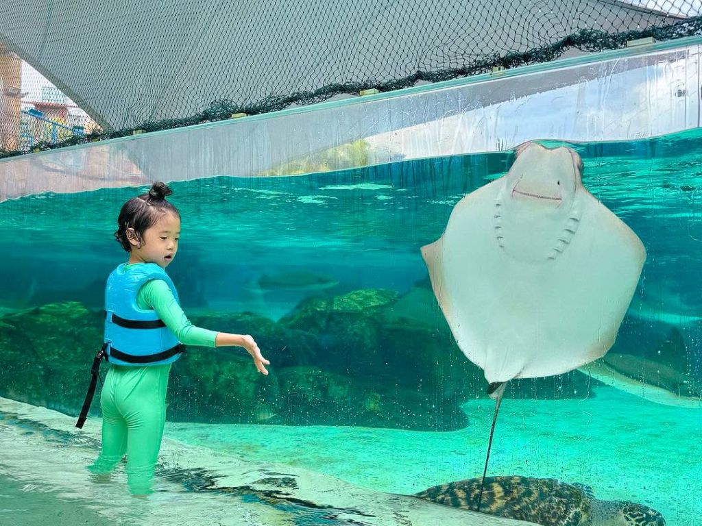 Image of child at Adventure Cove Waterpark