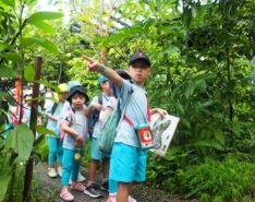 June Holidays 2026 and Summer Activities In Singapore