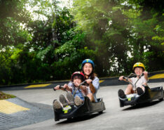 Bikes Skyline Luge Singapore