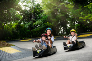 Bikes Skyline Luge Singapore