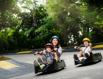 Bikes Skyline Luge Singapore