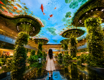 Child exploring the immersive Dreamscape garden at Jewel Changi Airport Singapore, one of the best attractions for kids