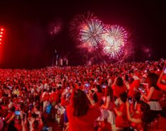Image of National Day Parade fireworks and crowd