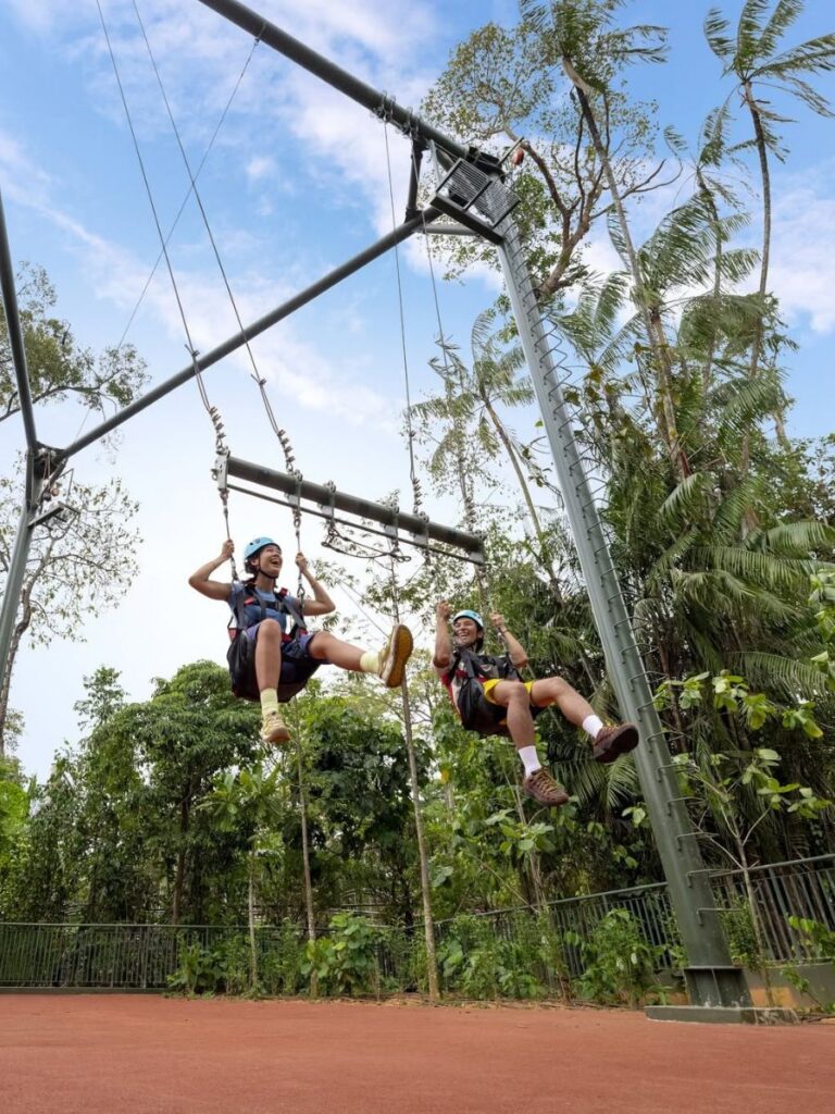 Image of Canopy Glider at Rainforest Wild Adventure EAST