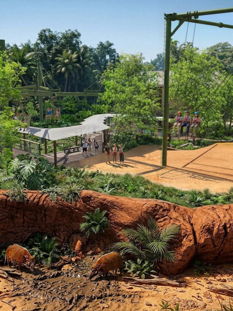 Image of wildlife at Rainforest Wild Adventure