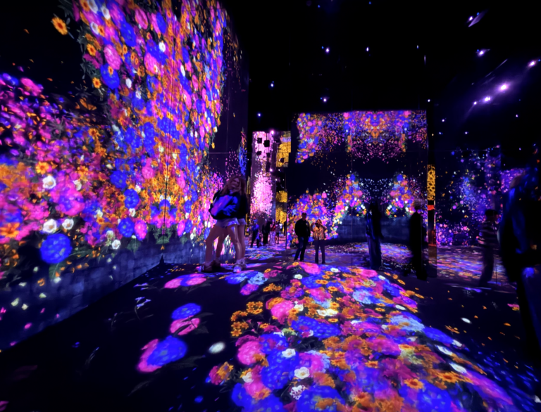 Image of Teamlab Macao
