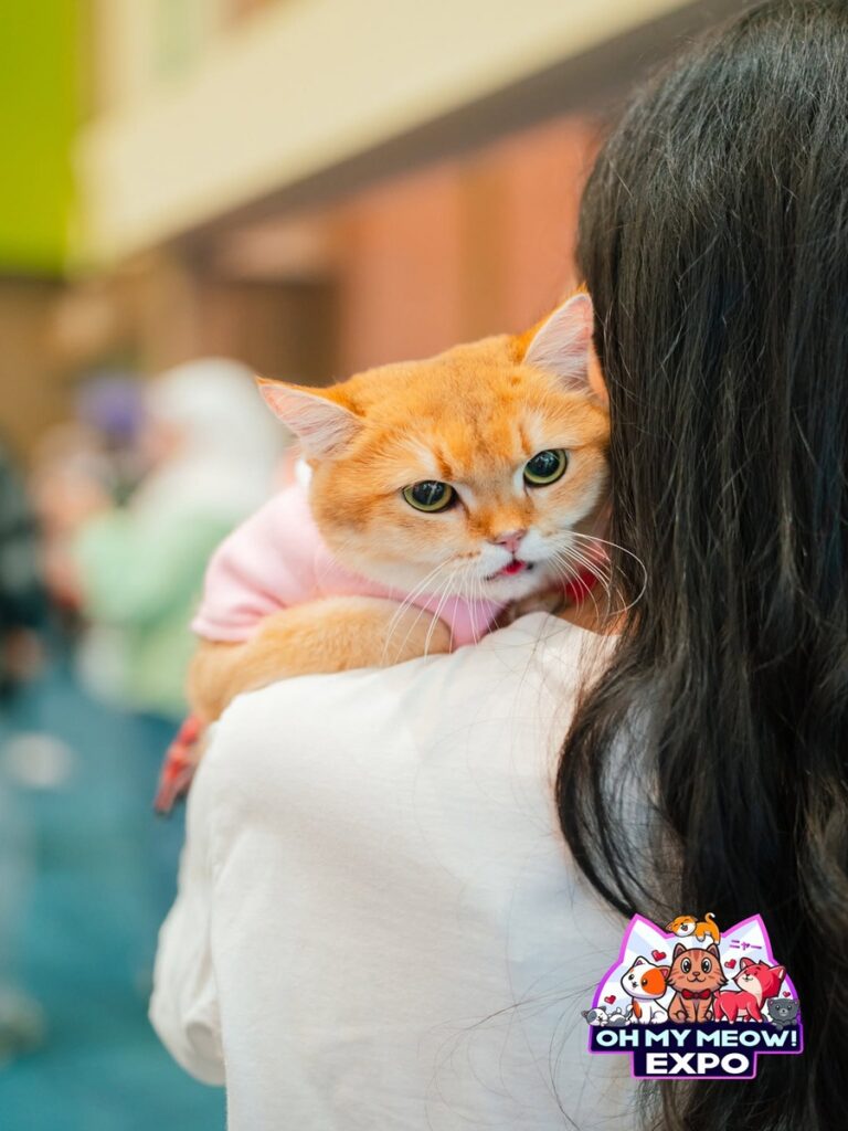 Oh-My-Meow-Expo-Kuala-Lumpur