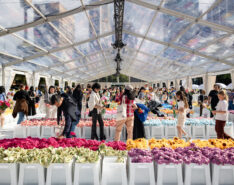 Cj Hendry's Flower Market Blooms In Singapore