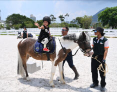 Magical Pony Encounters At Pony World In Hong Kong