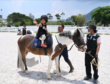 Magical Pony Encounters At Pony World In Hong Kong